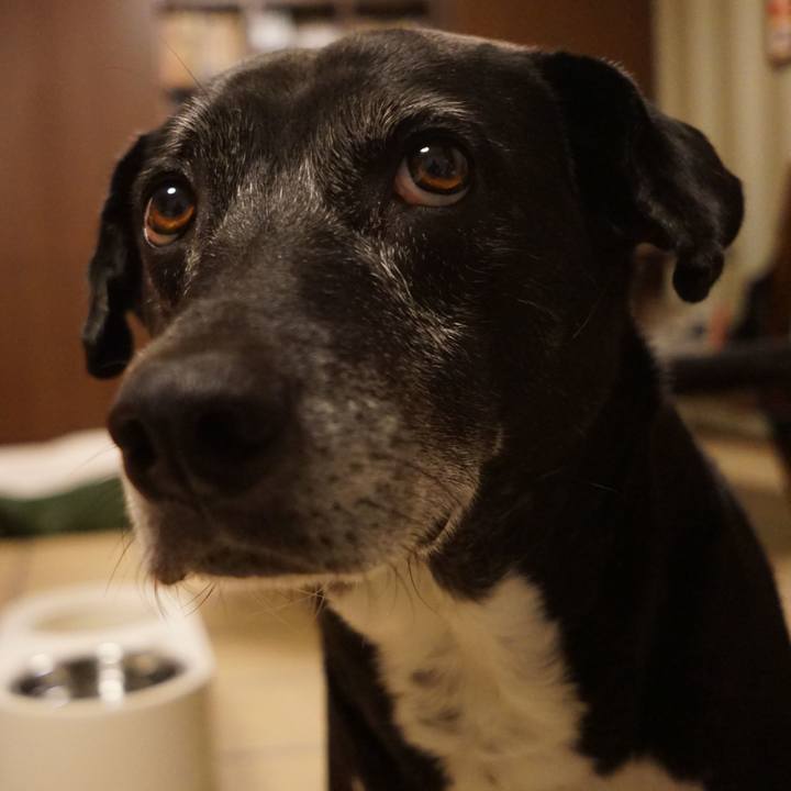 B5990f36 e468 47f2 a25b 4efeaf4b0327 1761476841601