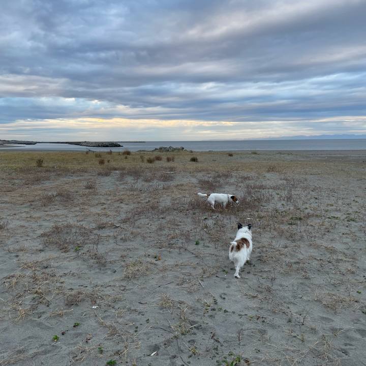 B5994153 ab5f 4fcf b87b f80797ea2d9c 1731800763310