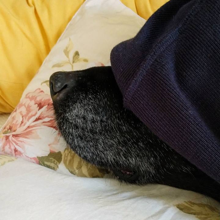 B5994336 2331 42ef 91f1 28a4bea3cd2f 1706326629966