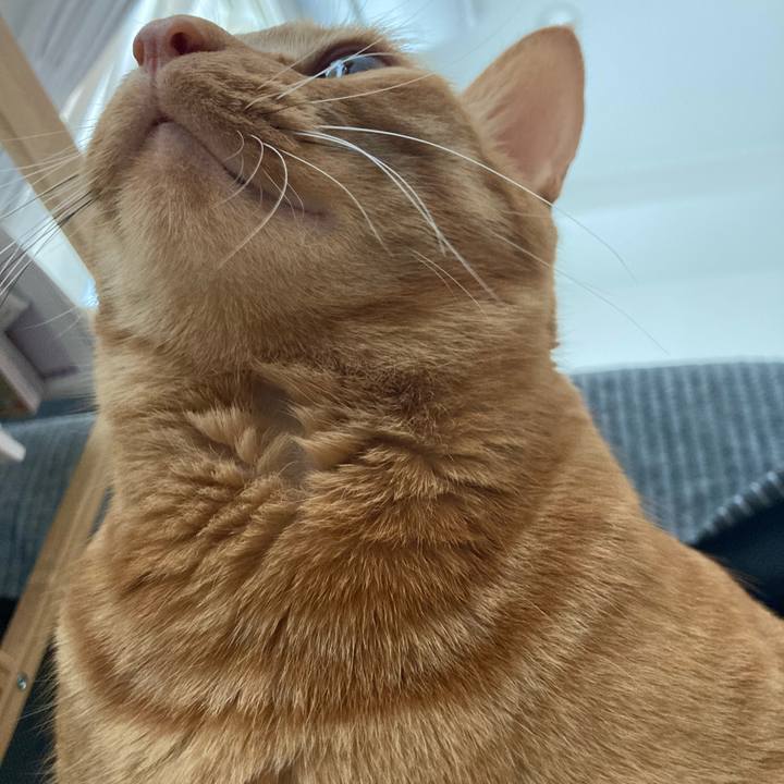 B599462e d742 4d85 adec 0cf1bb7a104c 1617411557028