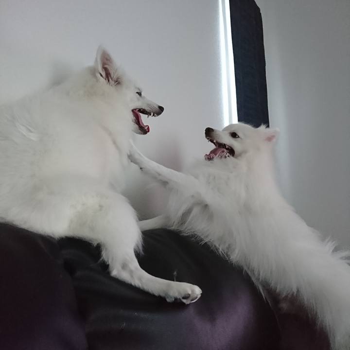 B599995c fbf9 480c be88 f64c3b9e5d18 1577079998745