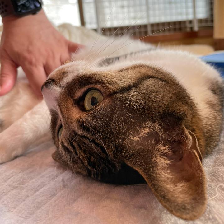 B599a204 cceb 4ed7 bb00 2d1c11b41a64 1633831382153