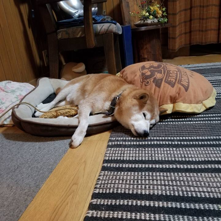 B599c04d 608d 46e2 a301 f0d81016d102 1667904226362