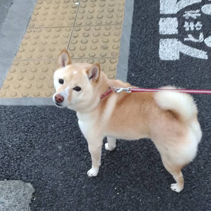 B599e10c edc8 4fd5 979f 94d0e0b2d0db 1612652295607