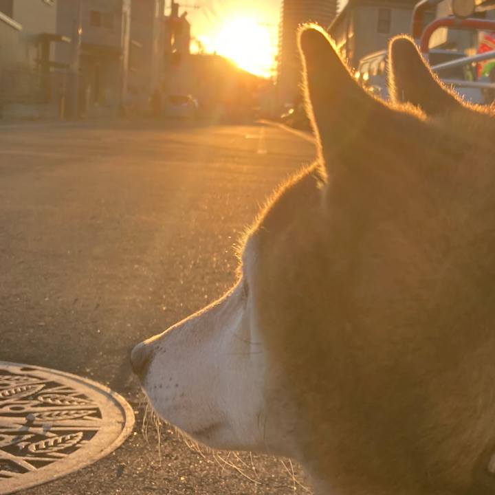 B59a035a 0368 41fe a6b3 4aea4da6c6d6 1735718210821