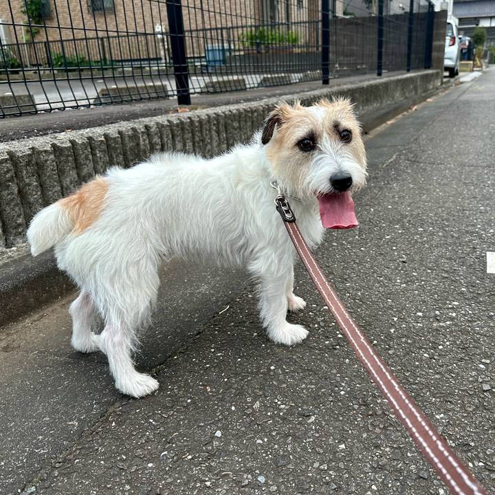 B59a170f 15f1 4ff8 b722 b7ff342a45a7 1728227345362