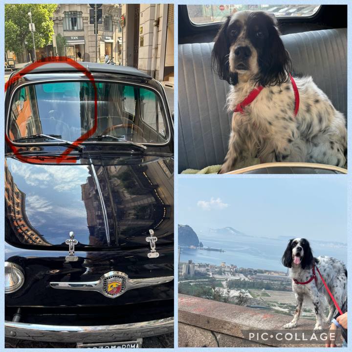 B59a17d3 374c 42c6 ad07 d97347782349 1772967069678