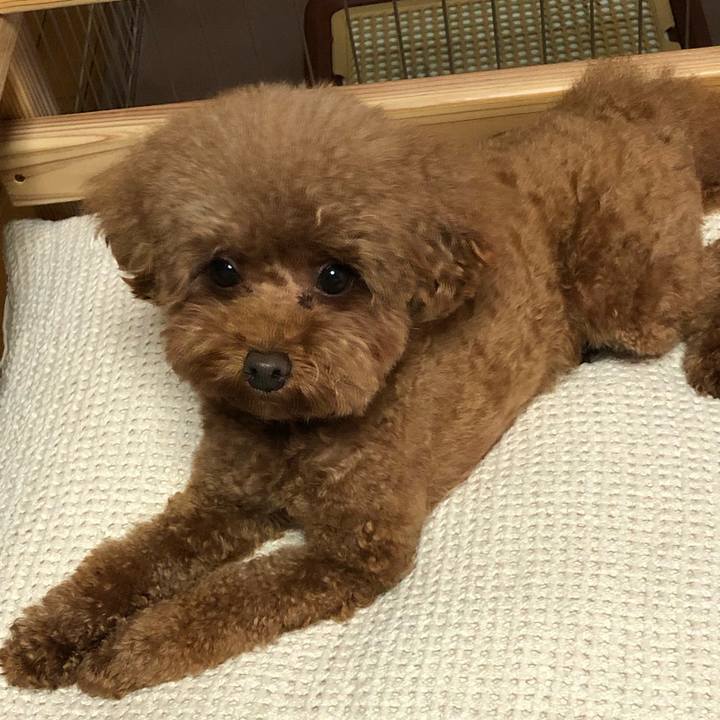 B59a7865 5949 43da b8ba 2aac5af1ba2e 1595370761765