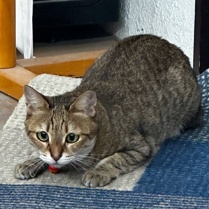 B59a815d 0951 41d1 8aff 6890f6cd8a7f 1758126109489