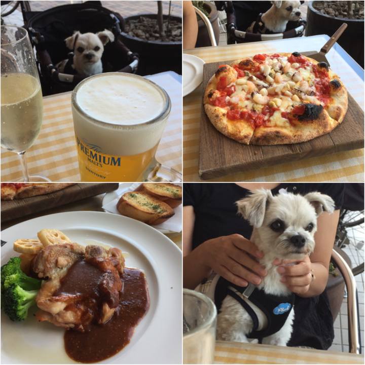 B59a9a58 a31f 47ab 8fb8 4dfadc8811a6 1534587591348