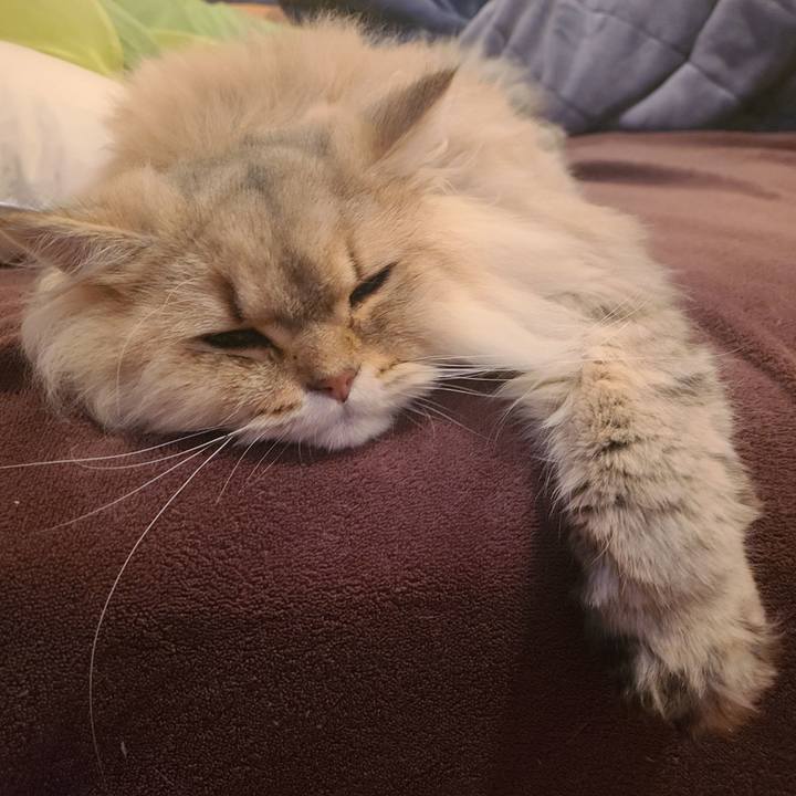 B59aecaa c05a 427e 952e 7671a91e8e51 1639023527536