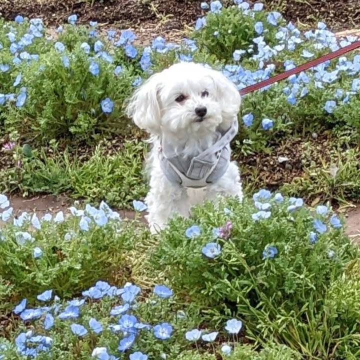 B59b20ae 1d32 434f bfd6 95c684d50ba6 1647774957056