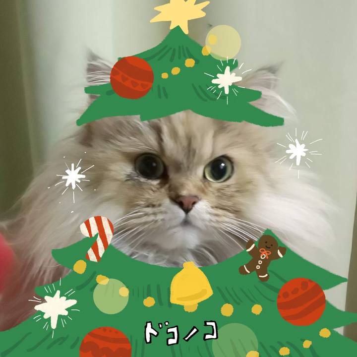 B59b3e36 88fb 49eb bbe9 43bd851f5df7 1763863481738