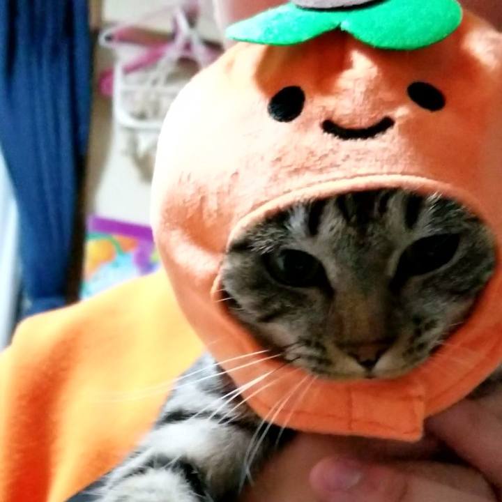 B59b476f 23d7 4ea7 9c1c bcfc049d7c2f 1685456833011