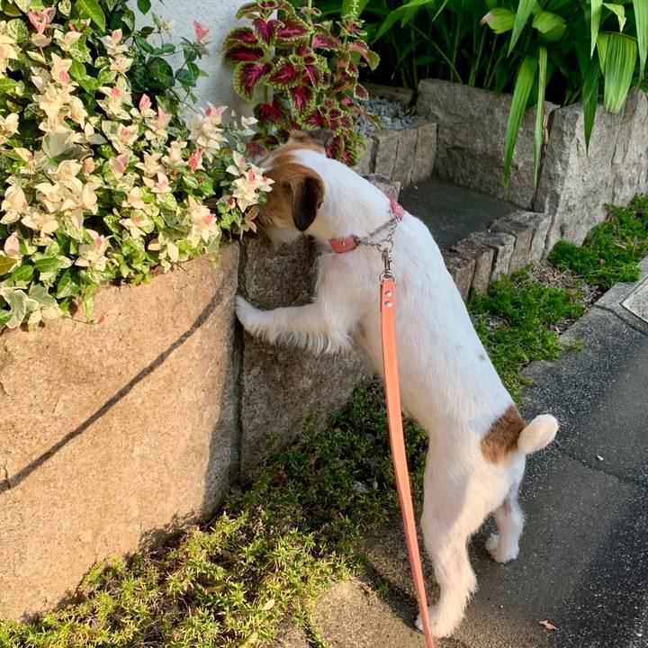 B59b4d09 c98d 4b11 8569 0bd9e4135f61 1660005766784