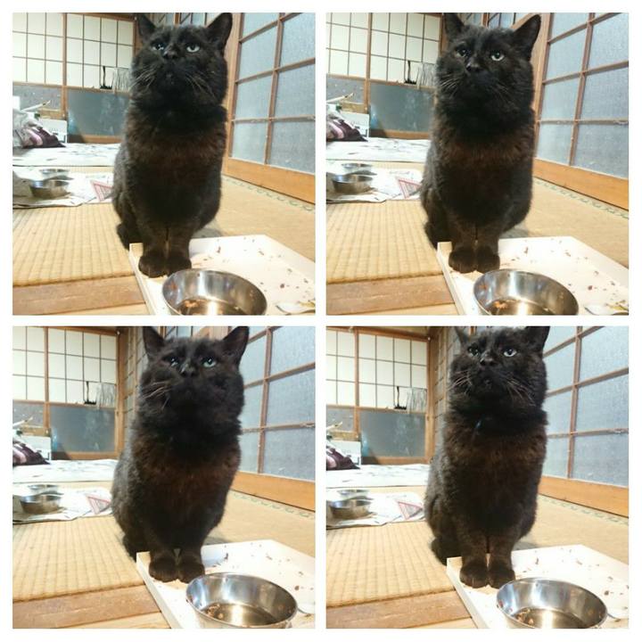 B59b6110 e928 43d8 b330 23f9172930f3 1618392429987