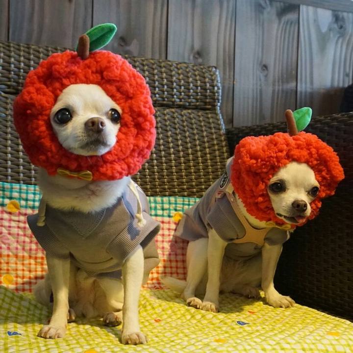 B59b82c4 e88d 4980 881f d9caaf0896ae 1509940111363