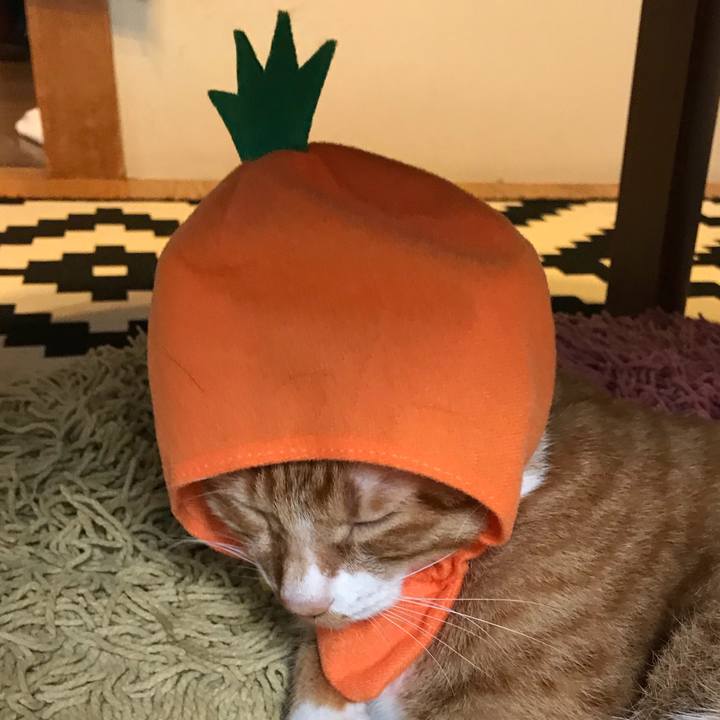 B59b9526 bfa2 4790 b214 e10d47efdf26 1530937658681