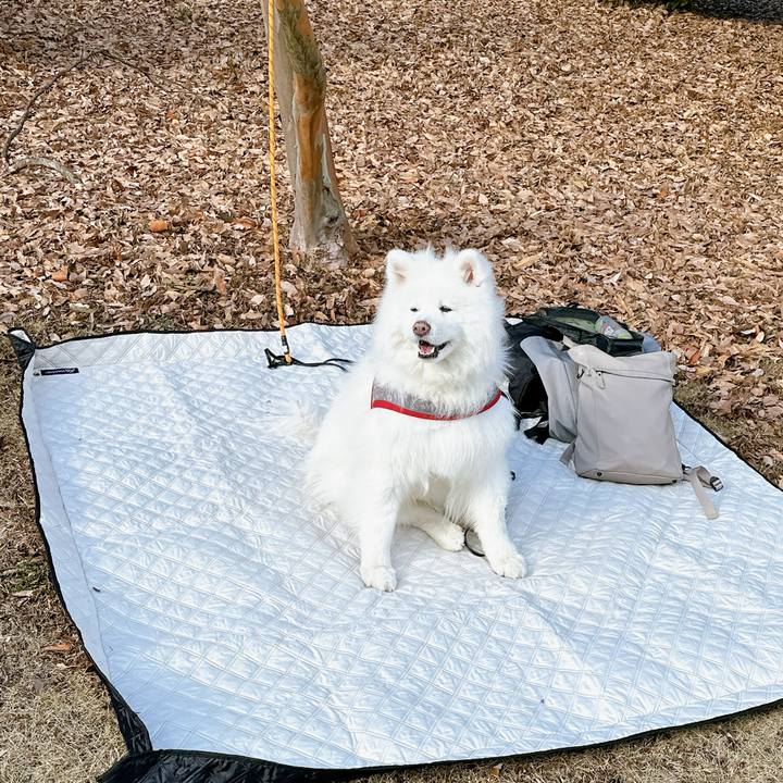 B59b99c2 1444 4f8b a0ca b55954ccf283 1707357003655