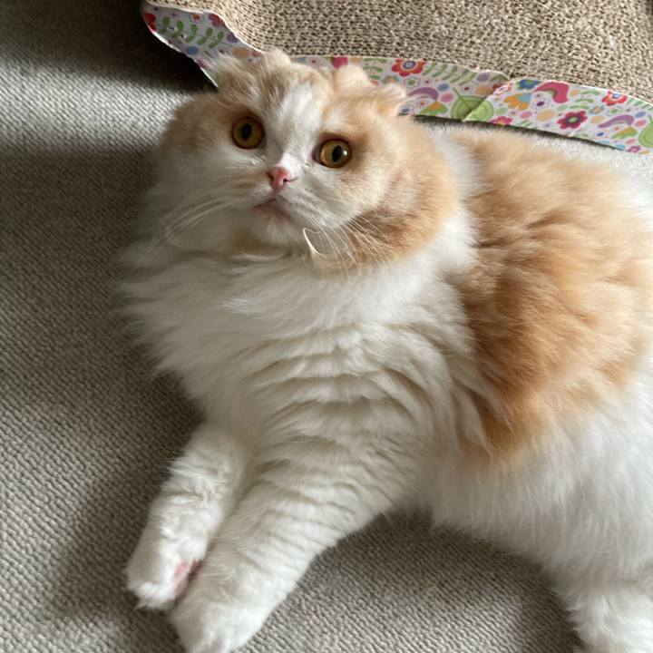 B59ba70a d71e 440c 815a a546a67e74b9 1624076697582