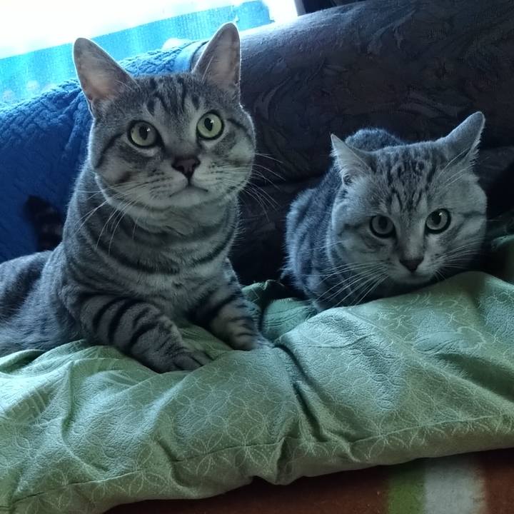 B59bb050 7528 4f0b 822a cd30bdcd21fe 1631260374354