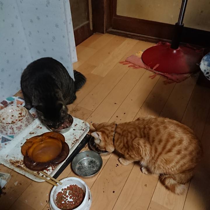 B59bca9d 6081 401b bd44 69fe39fc21fa 1644745462095