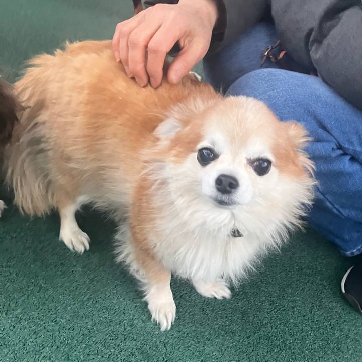 B59bd1ee 7487 49c7 a0b2 5cf598d0efc9 1771321202793