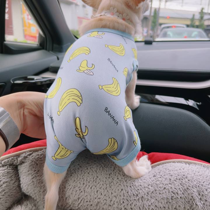 B59bedf1 72e9 49ab 9f5b 0ea2ed651e31 1757813695420