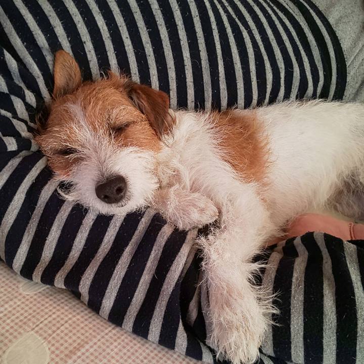 B59c0403 f27c 4ed8 a557 13442be39589 1637446472746