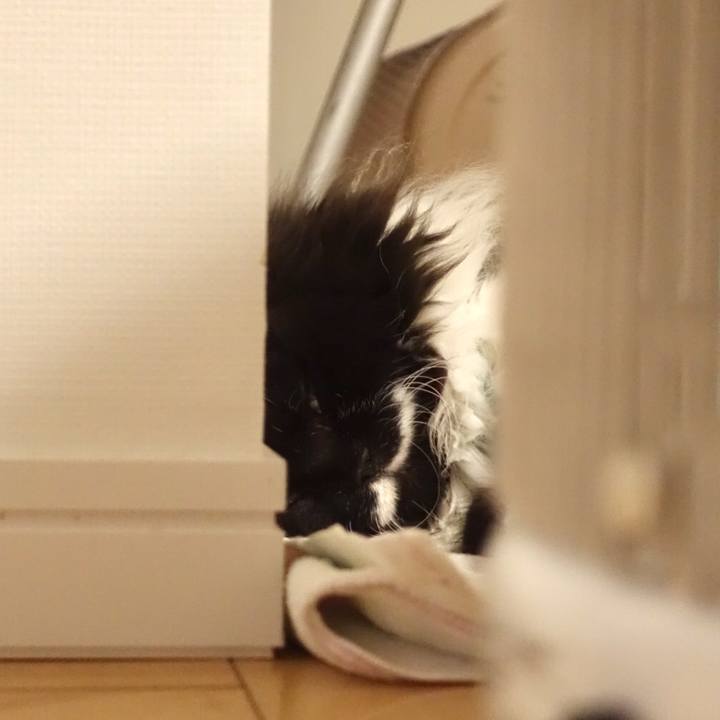 B59c20d2 674b 499e 92fc 32cace6f6992 1554562655812