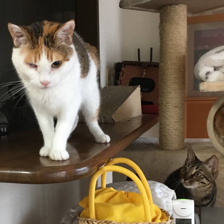 B59c2aaf f120 401c a86c a1d349a5c805 1539566647720