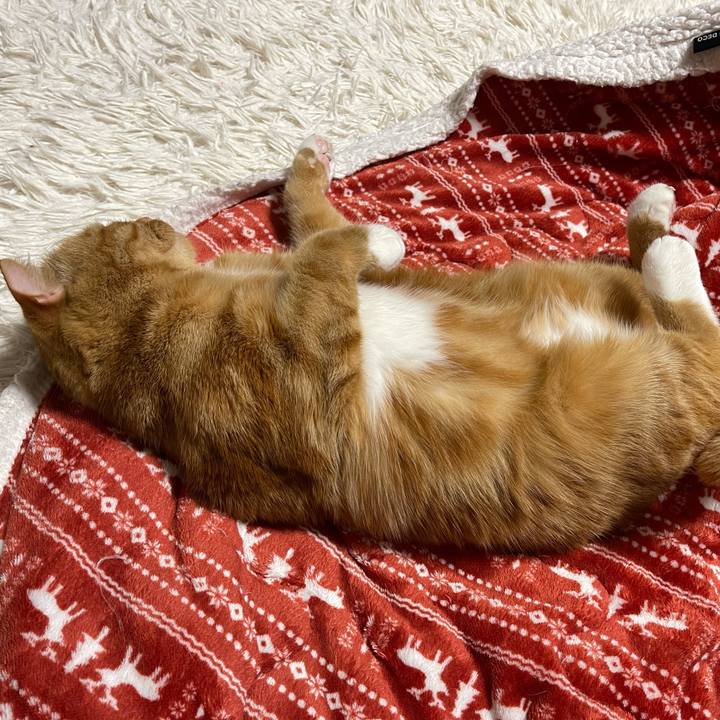 B59c48ba af75 4289 8d27 a4db89074c34 1618662920421