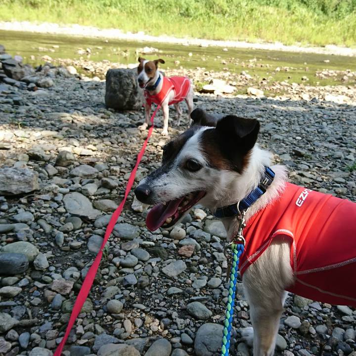 B59c6315 7512 48a2 b50a ad9be7aeddbe 1598674904198