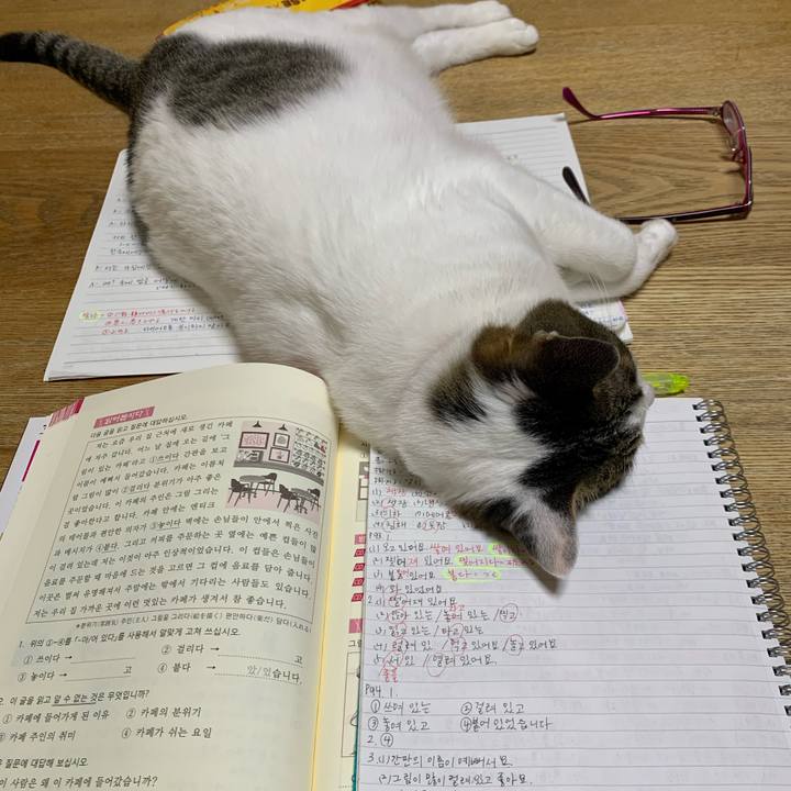 B59c85a3 db0f 4304 99e1 2583ac53d7eb 1621029147044