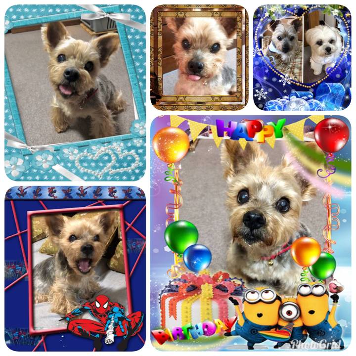 B59c9b7f 905f 4a1e 9782 94d5937f06e2 1563396289741