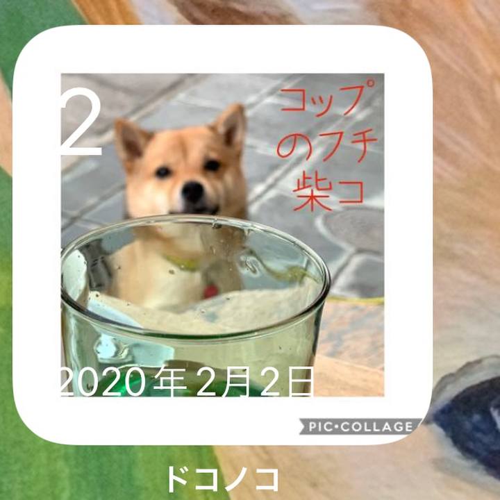 B59cb988 d303 447c b984 38bf59967e88 1643795538592
