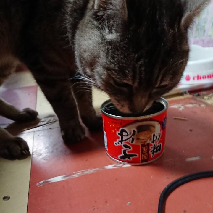 B59cbd49 82f2 4fb3 9bb4 68a94cb40b7f 1554434332742