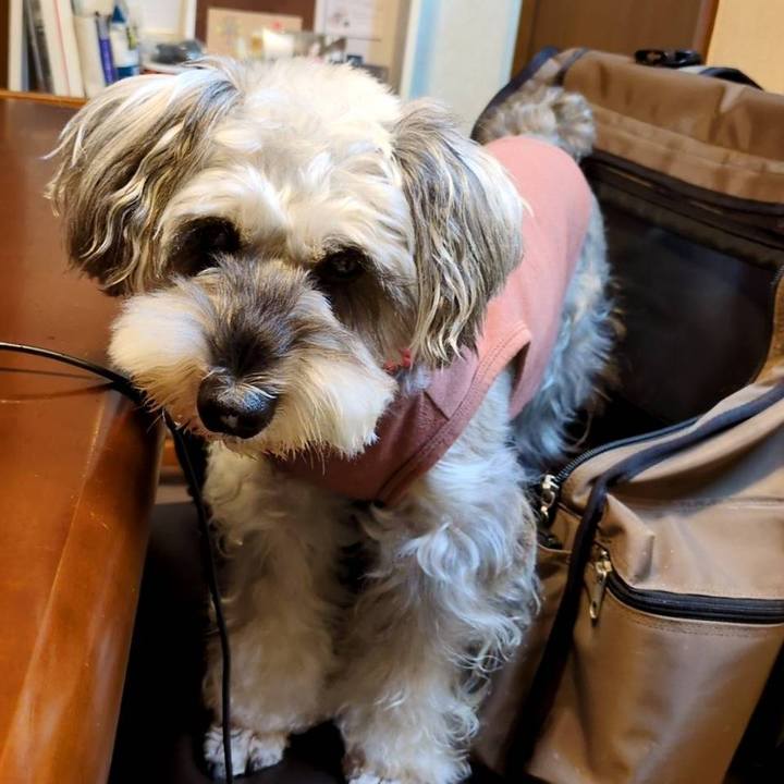 B59cfa98 c590 442f a79f 829e20f303af 1762345530549