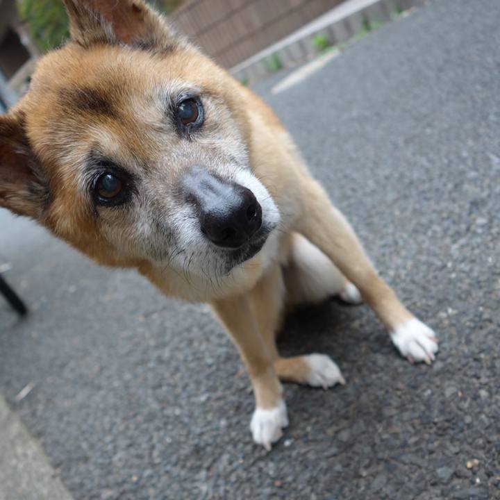 B59d18ac 2d5e 4530 93dc a4cea3d090b3 1560983865790