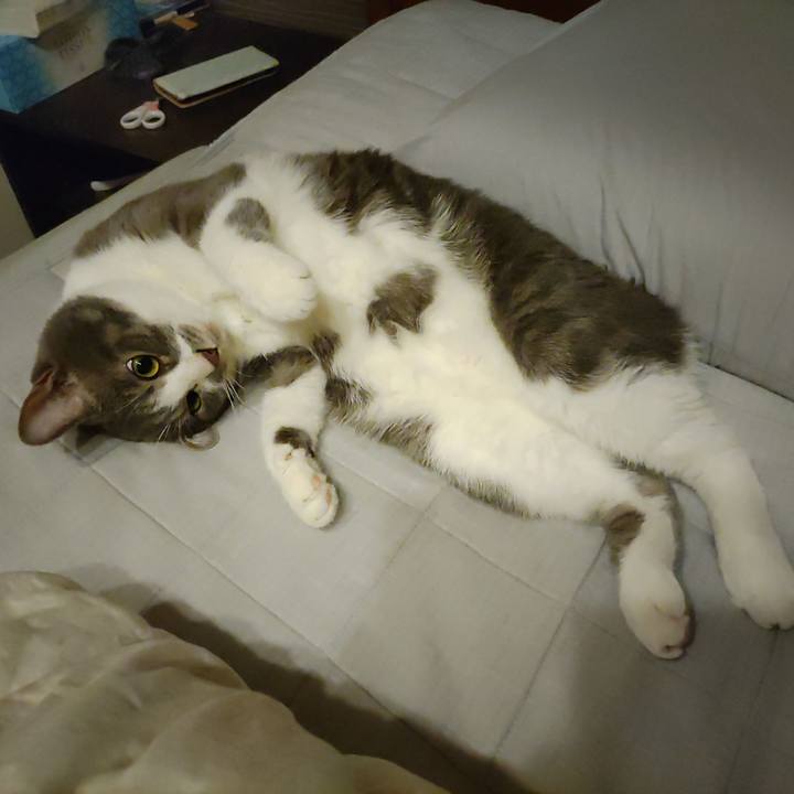 B59d23e1 9241 40c9 9f61 d557e40e0c9f 1656599795341