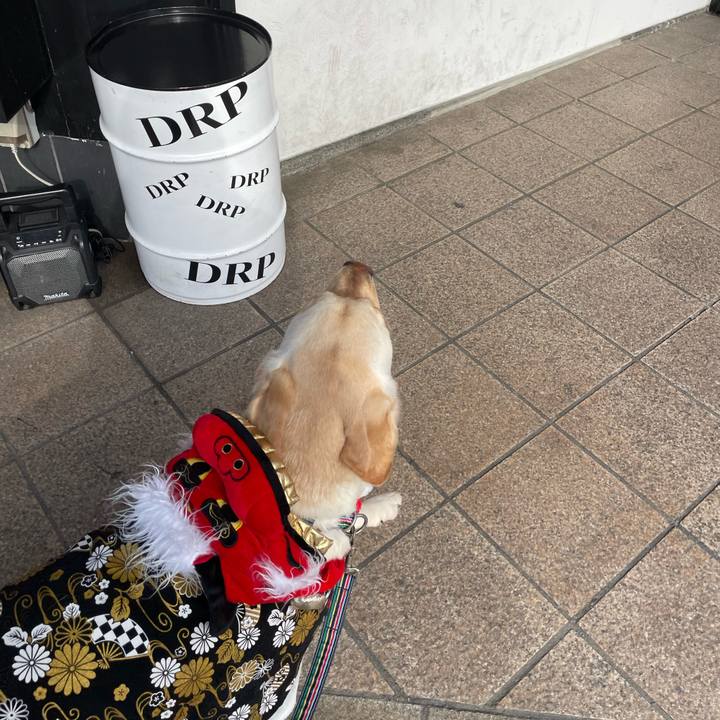 B59d4039 7a49 4e45 8bf4 30b8c36a5a14 1675925709379