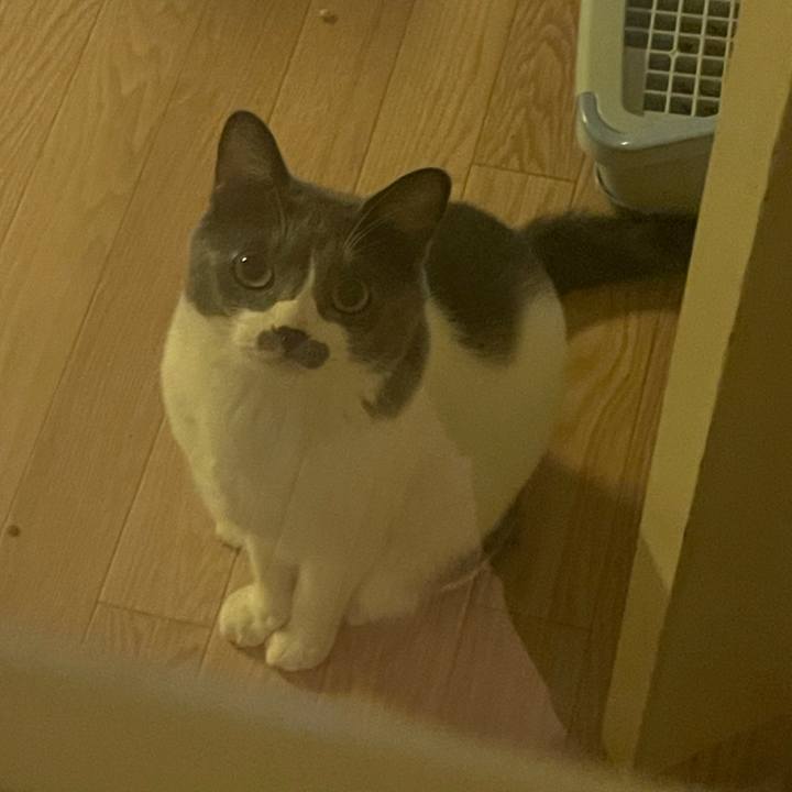 B59d44f1 70cb 4597 a79a dcbbffaa1c71 1629711375010