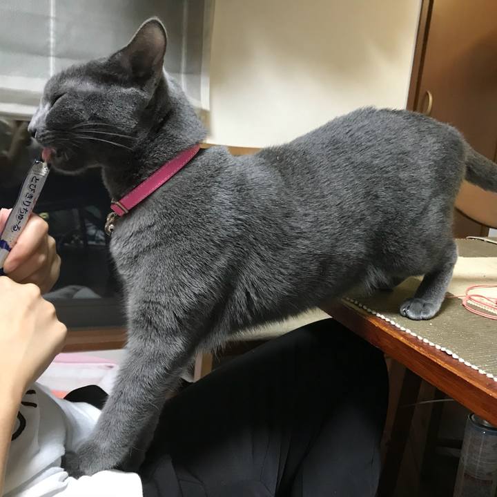 B59d6883 6610 4f9a 86b7 2f13b315d802 1535378392450