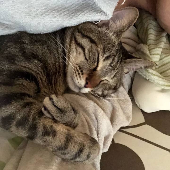 B59d6cfd e514 4ae5 9fcb ca51e0b7d966 1526074724004