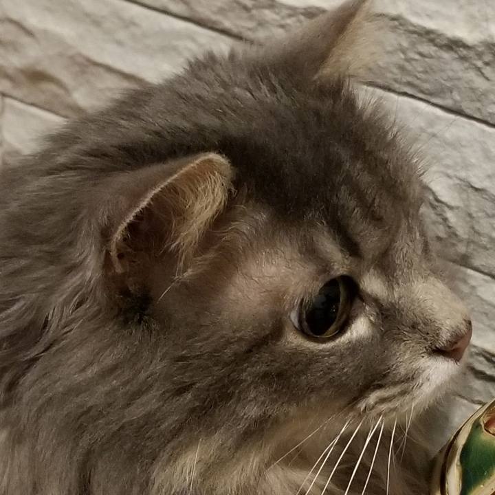 B59db9e2 68bf 4cfd 8704 cbb340680405 1590243284399