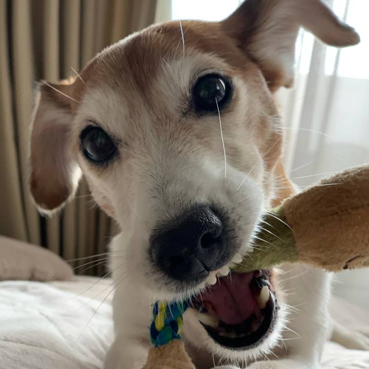 B59dc004 9ab2 455a a424 256aaea2bdaf 1619149286496