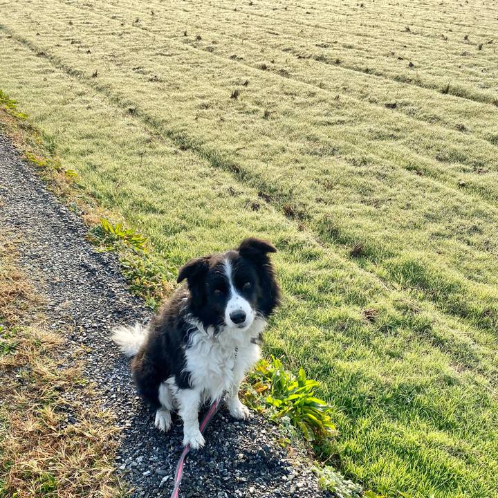 B59df4f5 8604 4742 b748 1d8730ff0567 1640133633090