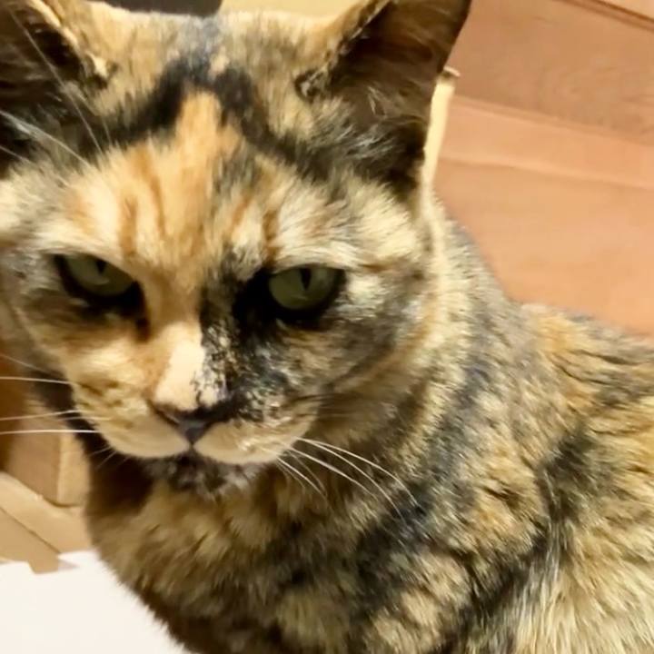 B59dfc8e 719b 4d5e b6bf 5e9480298ec4 1741340038426