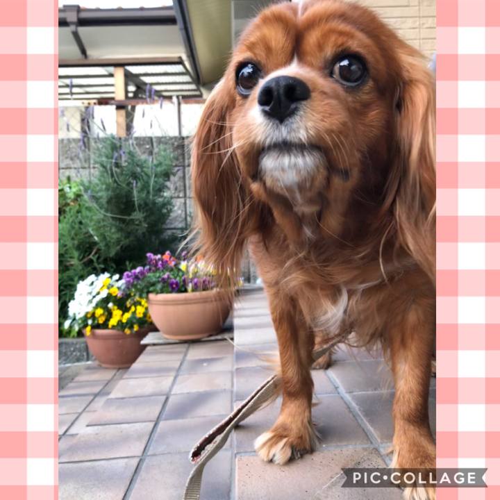 B59e2692 6ebb 4d68 8a61 5ca8d7e251b0 1587075030124