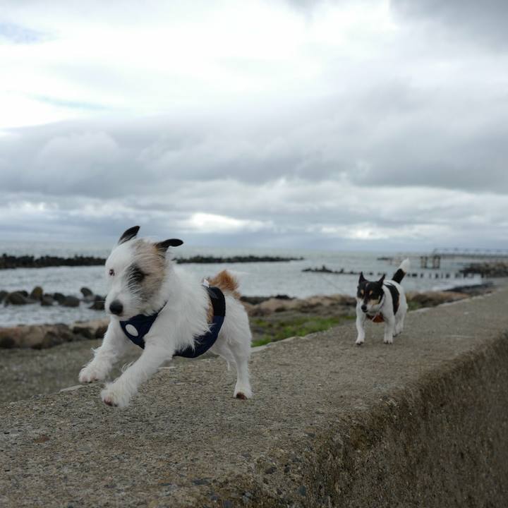 B59e2c9e c74a 4fed a39d 48f26100c10a 1526701110610